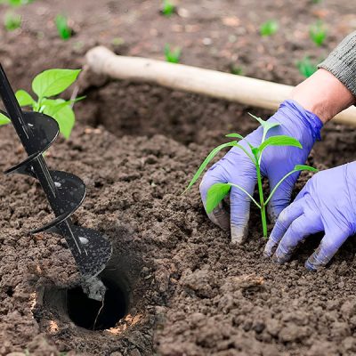 Εξάρτημα κηπουρικής για τρυπάνι | HOLEDRILL